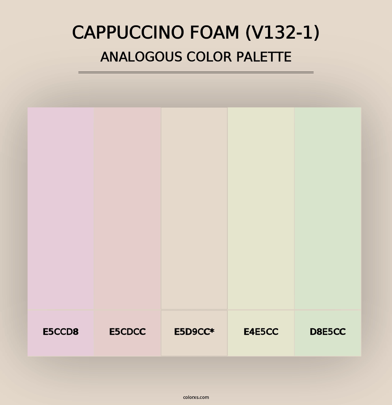 Cappuccino Foam (V132-1) - Analogous Color Palette