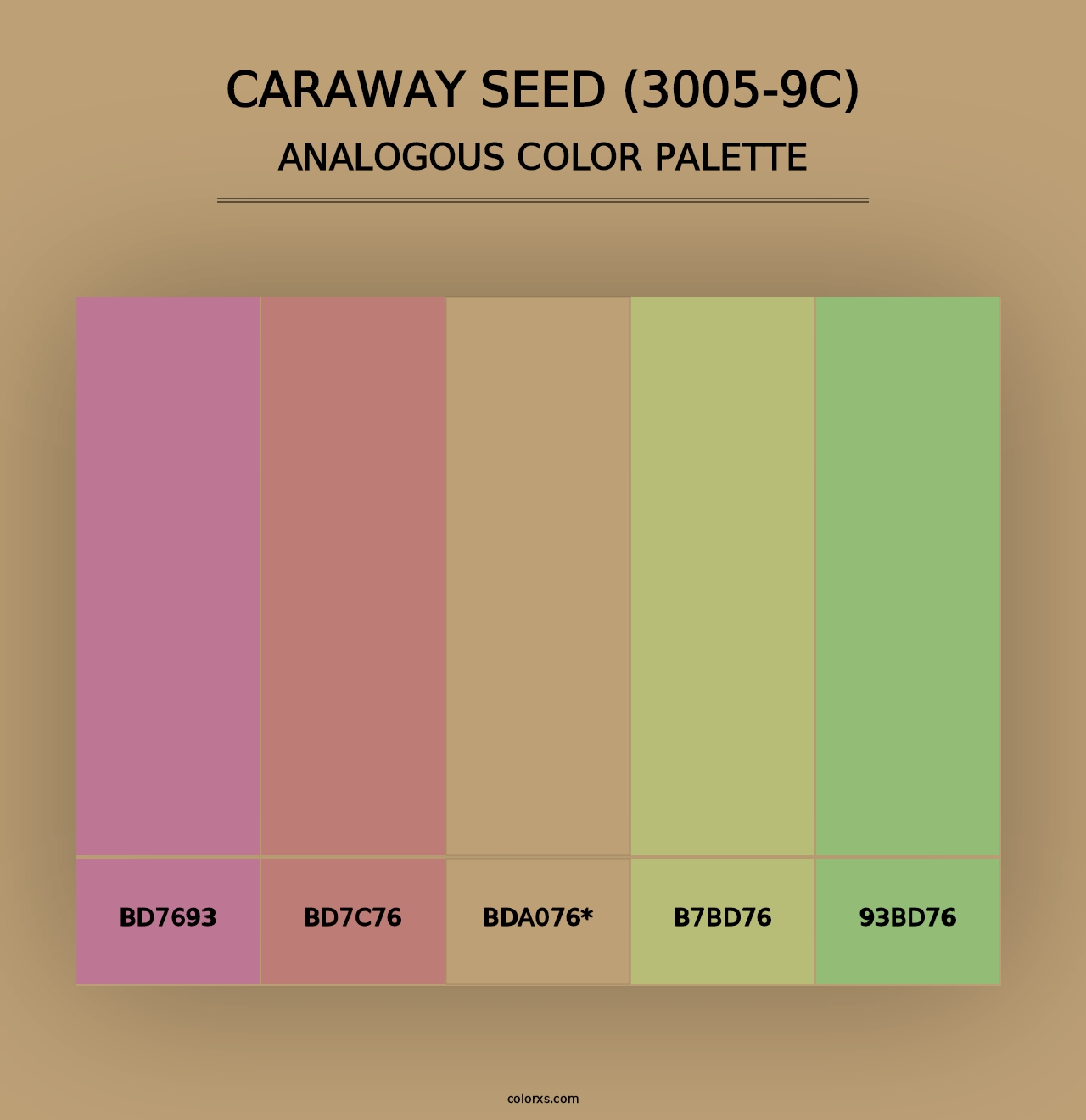 Caraway Seed (3005-9C) - Analogous Color Palette