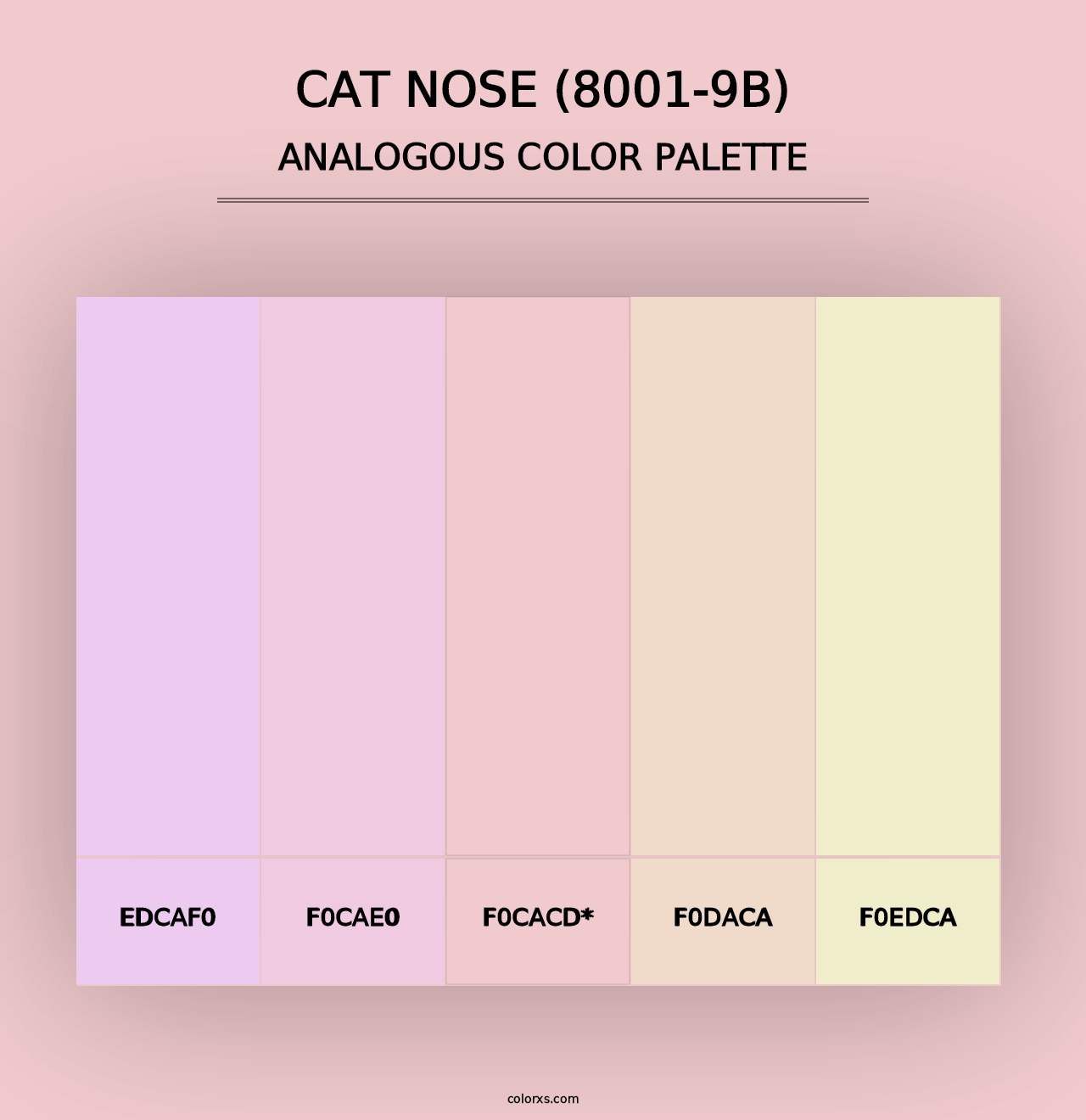 Cat Nose (8001-9B) - Analogous Color Palette