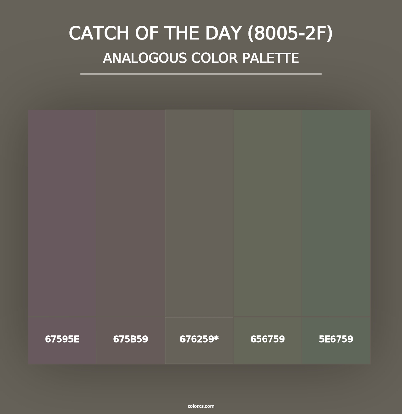 Catch of the Day (8005-2F) - Analogous Color Palette