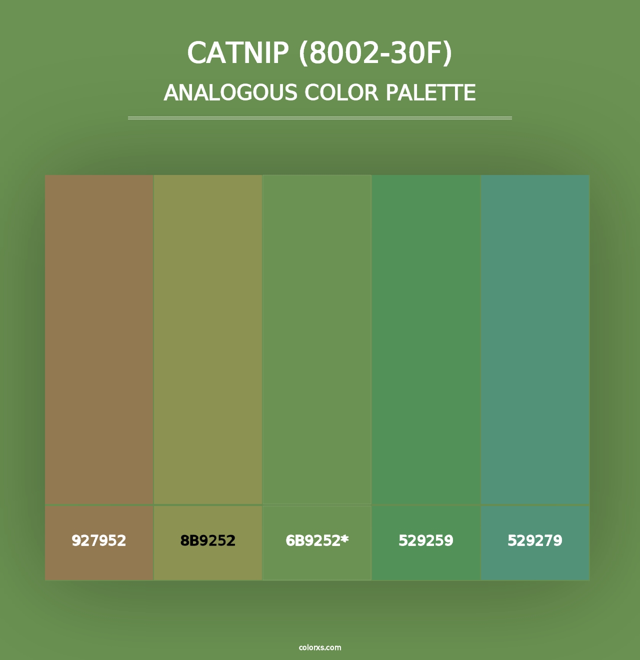 Catnip (8002-30F) - Analogous Color Palette