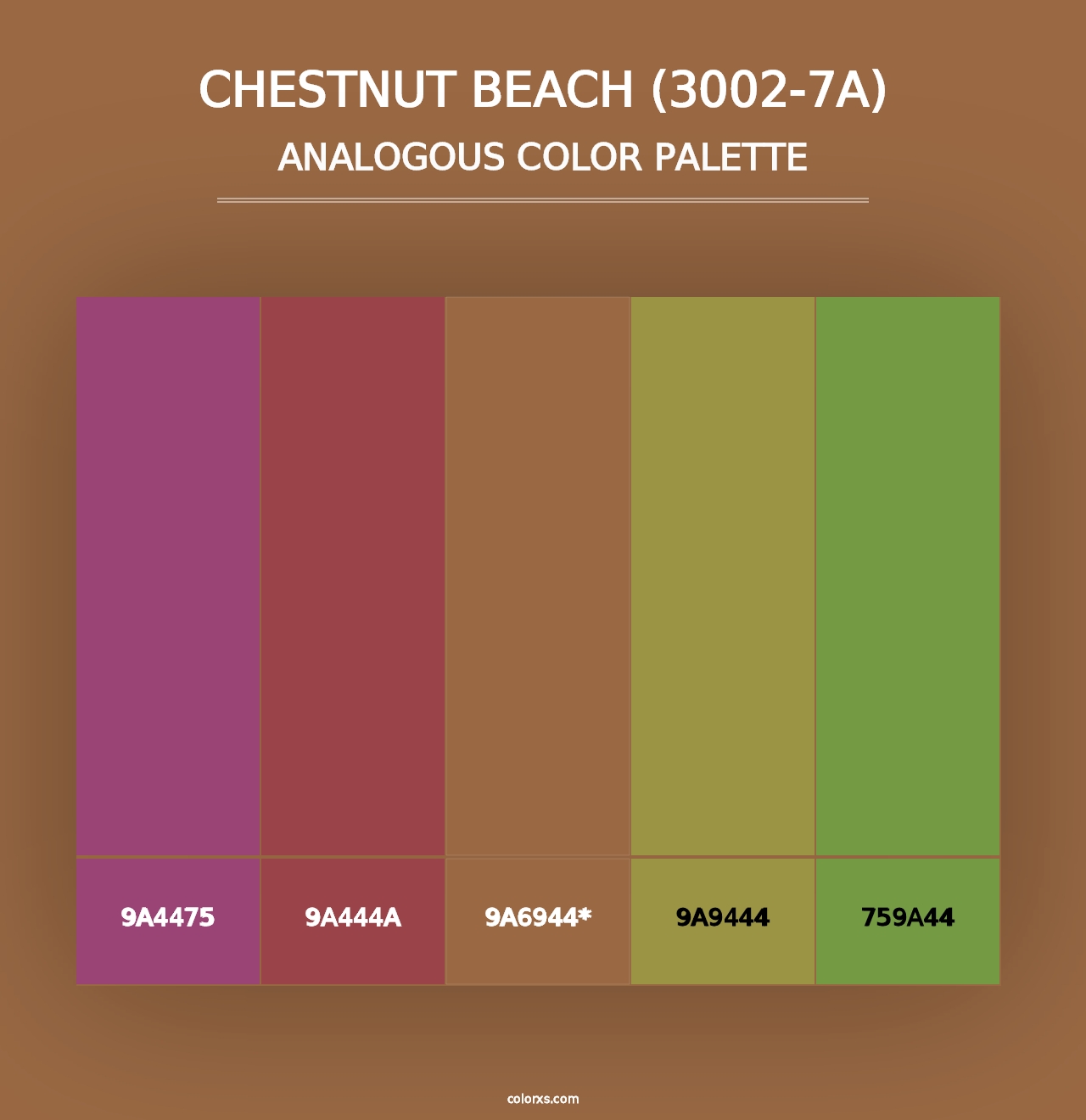 Chestnut Beach (3002-7A) - Analogous Color Palette