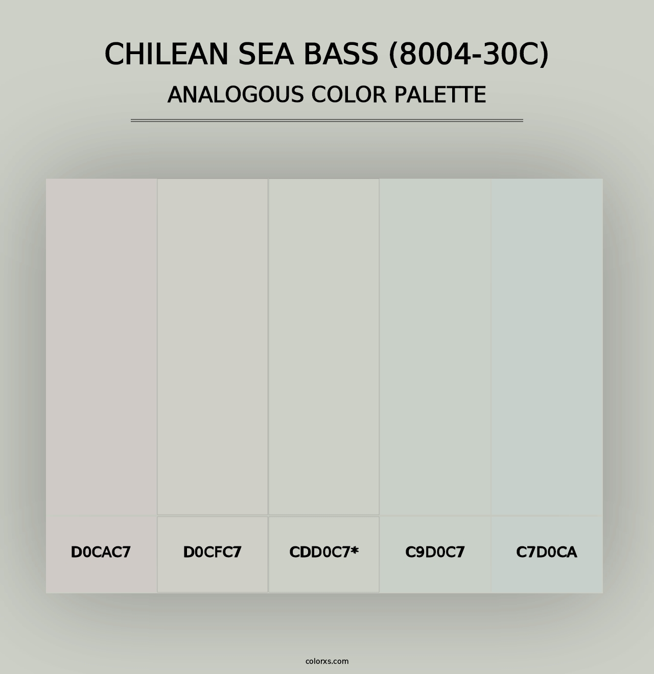 Chilean Sea Bass (8004-30C) - Analogous Color Palette