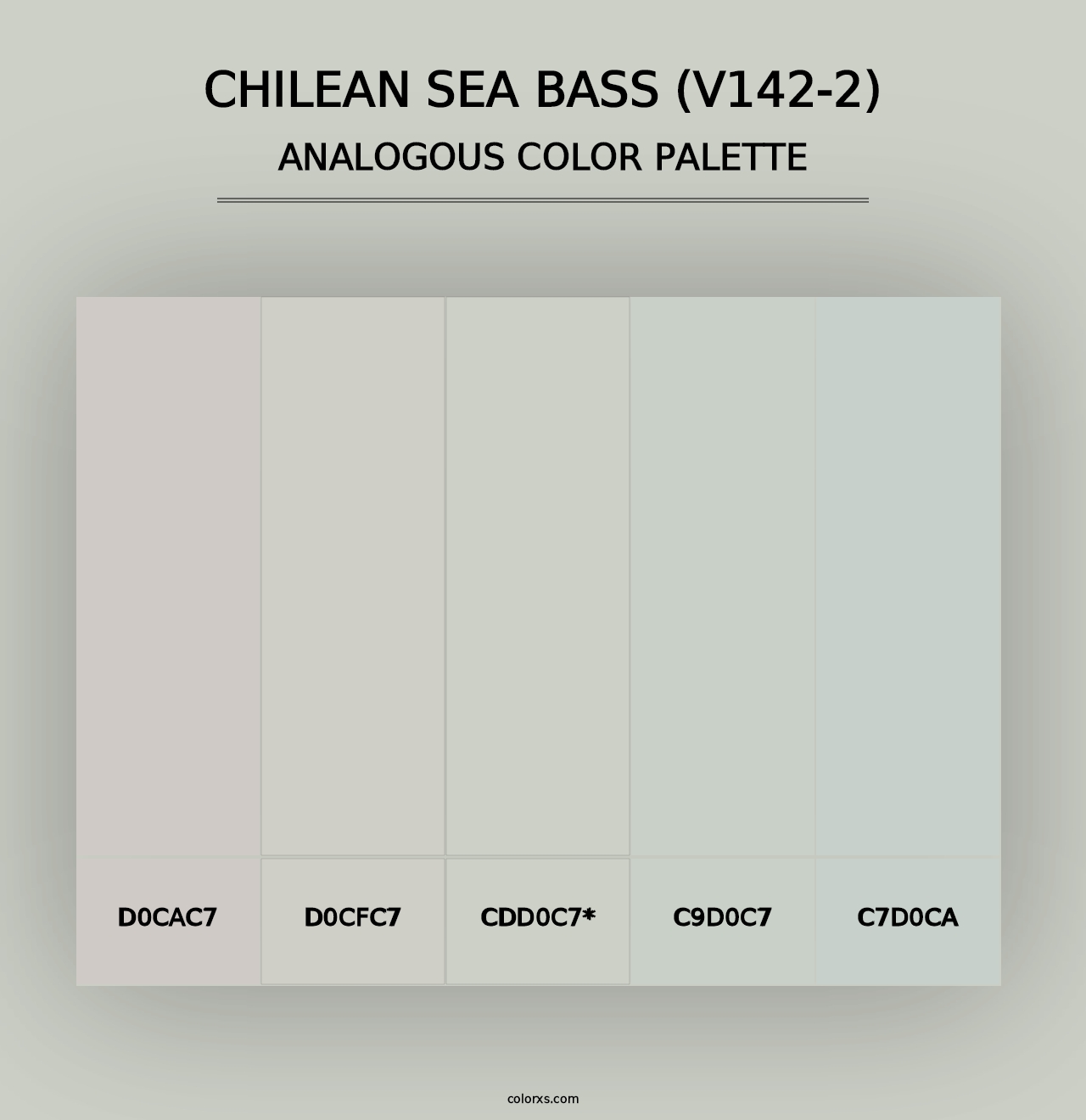 Chilean Sea Bass (V142-2) - Analogous Color Palette