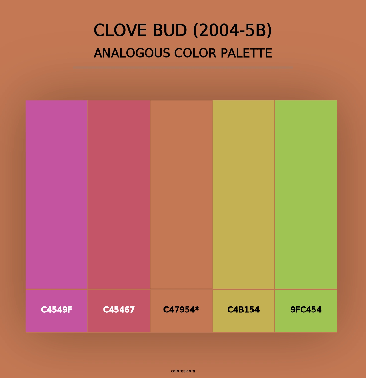 Clove Bud (2004-5B) - Analogous Color Palette