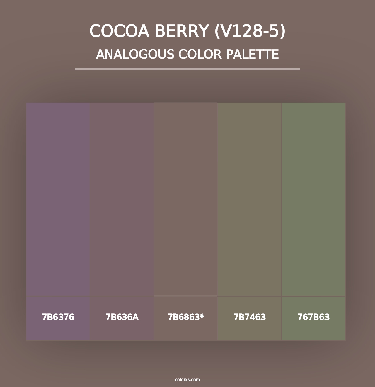 Cocoa Berry (V128-5) - Analogous Color Palette