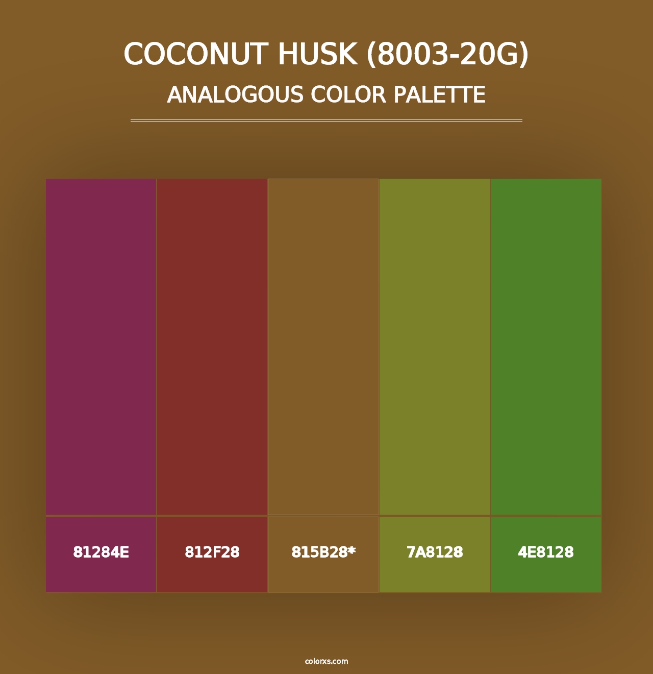 Coconut Husk (8003-20G) - Analogous Color Palette