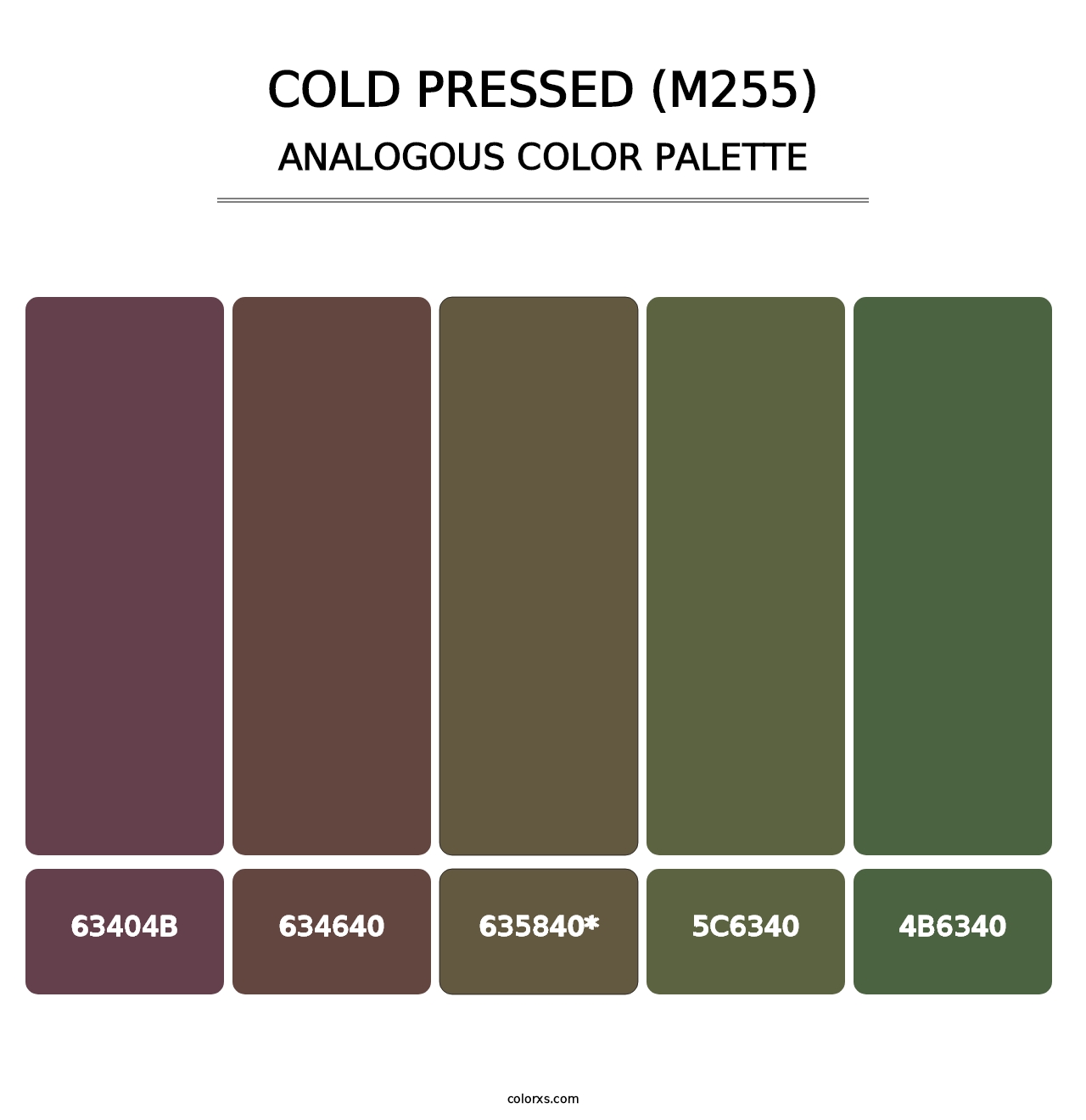 Cold Pressed (M255) - Analogous Color Palette