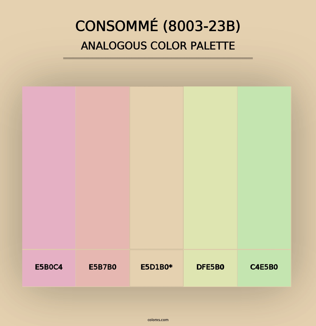 Consommé (8003-23B) - Analogous Color Palette