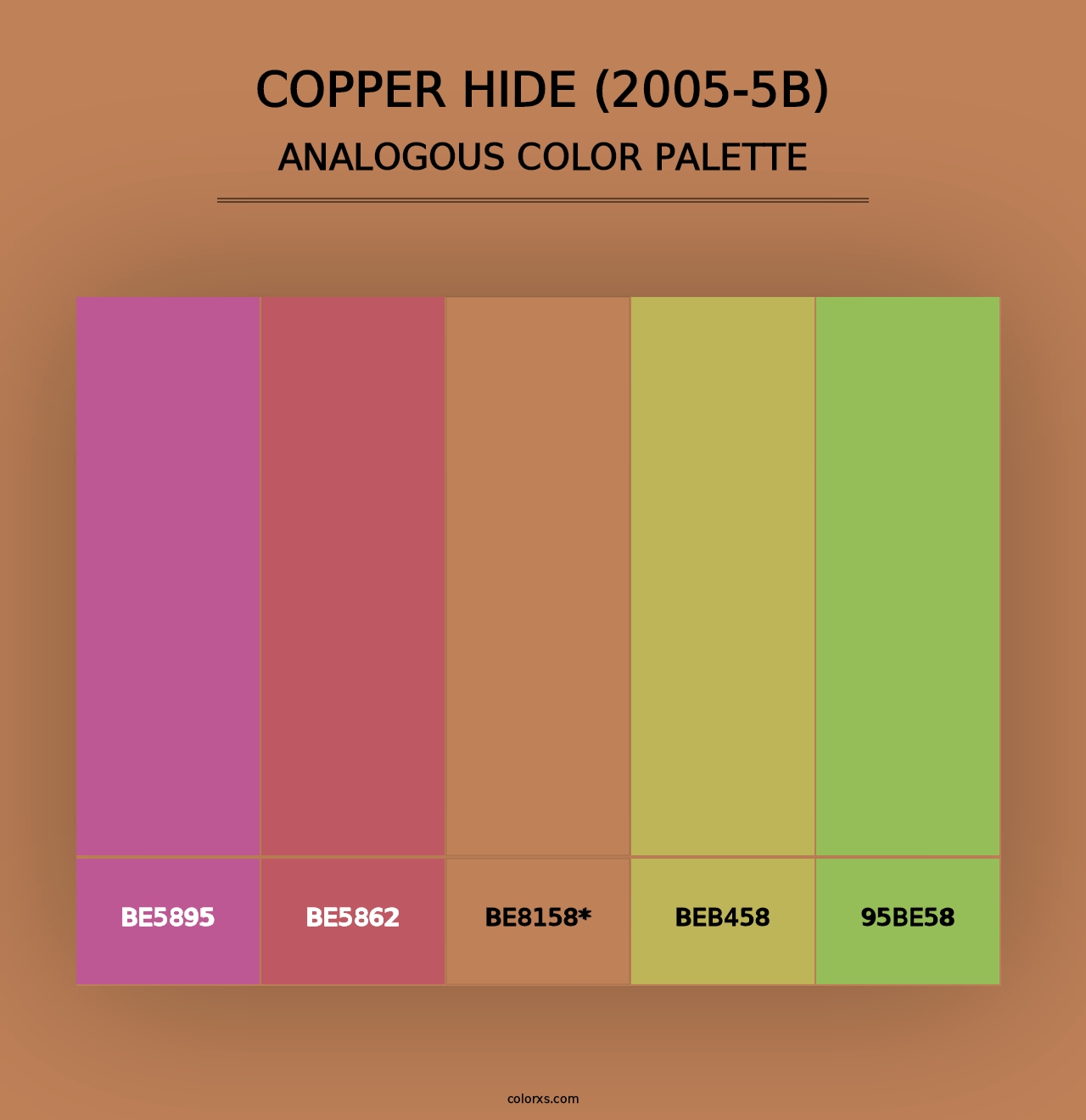 Copper Hide (2005-5B) - Analogous Color Palette