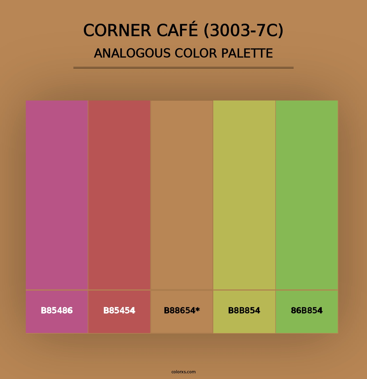 Corner Café (3003-7C) - Analogous Color Palette