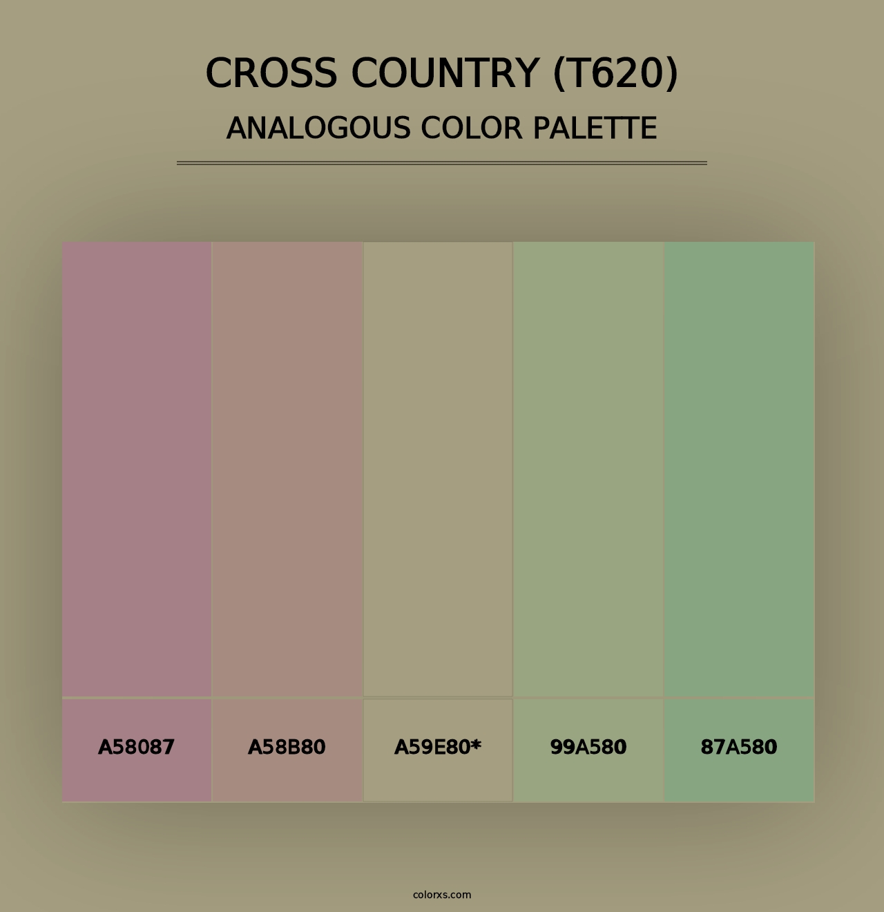 Cross Country (T620) - Analogous Color Palette