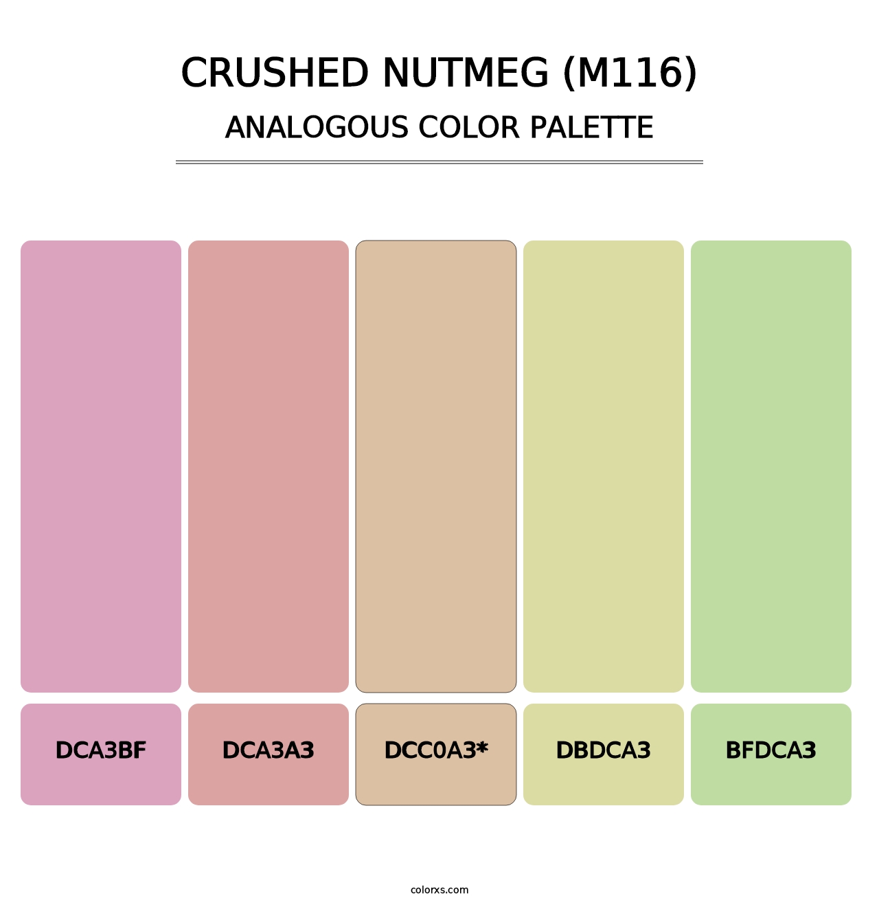 Crushed Nutmeg (M116) - Analogous Color Palette