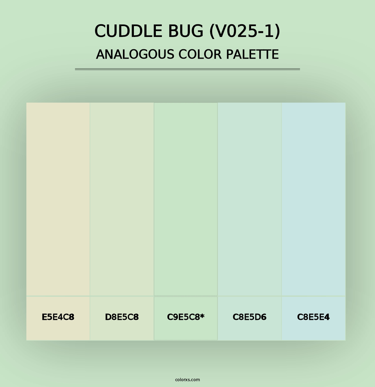 Cuddle Bug (V025-1) - Analogous Color Palette