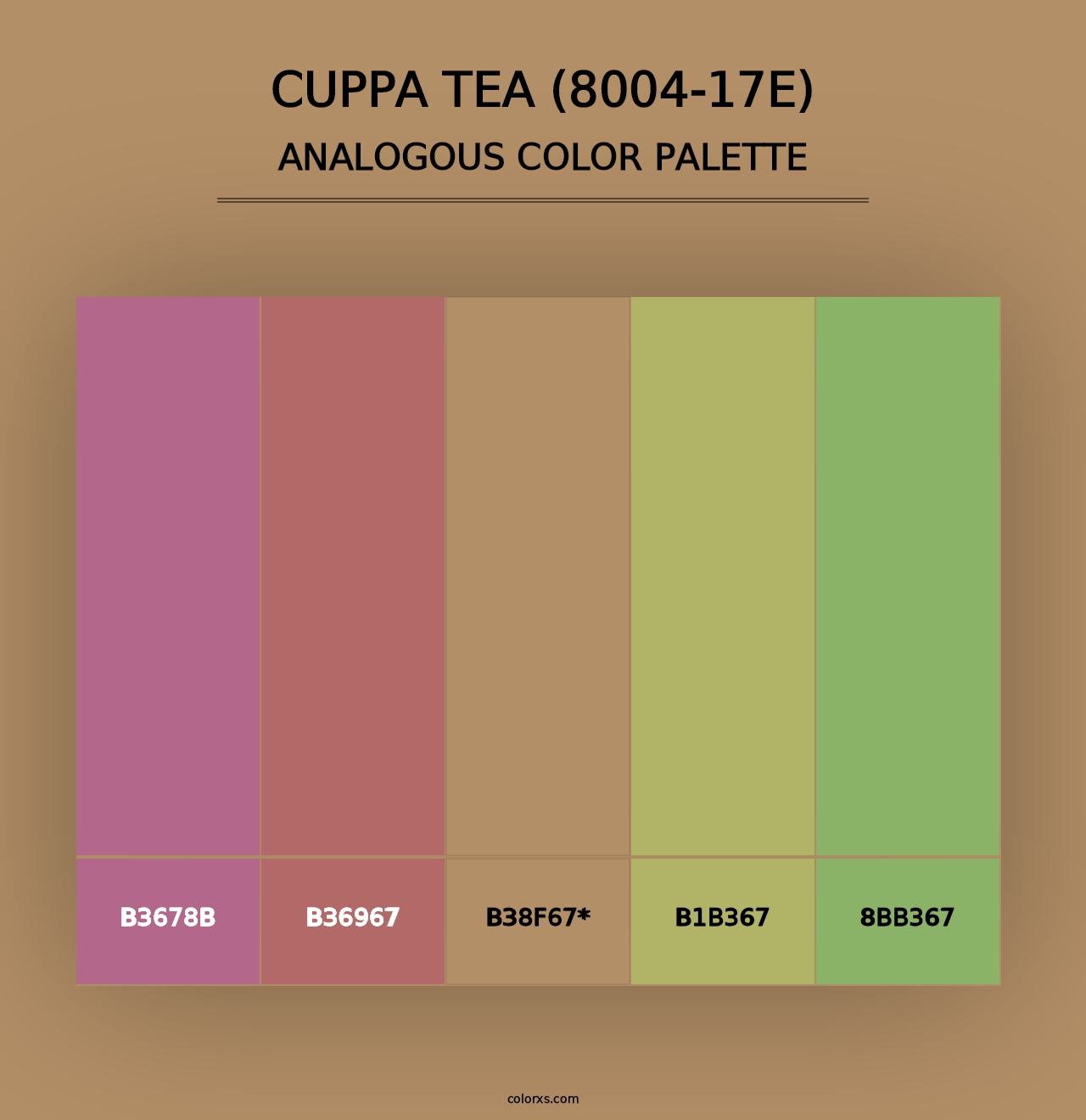 Cuppa Tea (8004-17E) - Analogous Color Palette