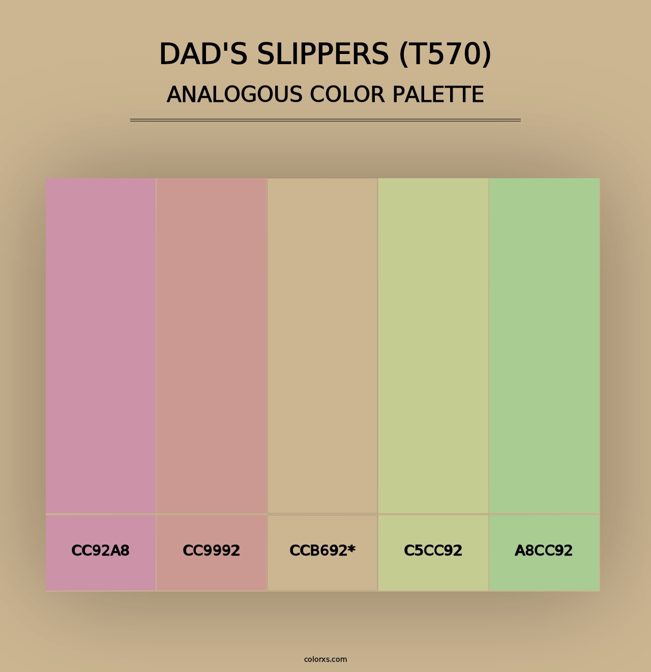 Dad's Slippers (T570) - Analogous Color Palette