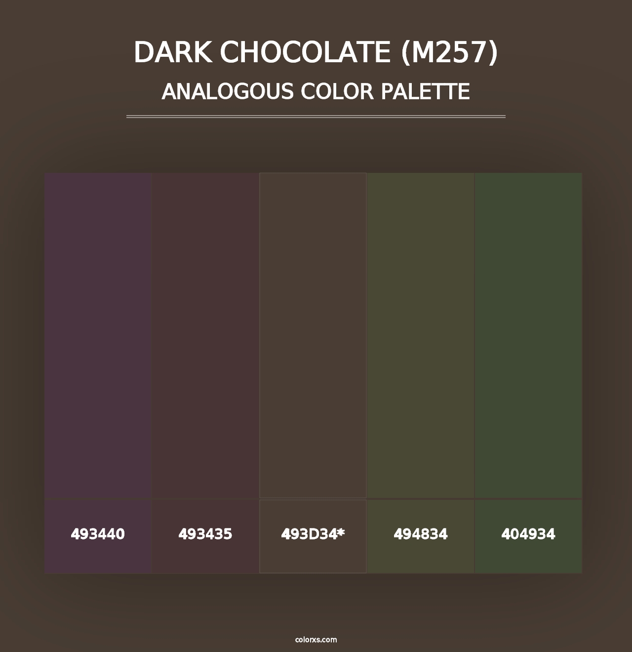 Dark Chocolate (M257) - Analogous Color Palette