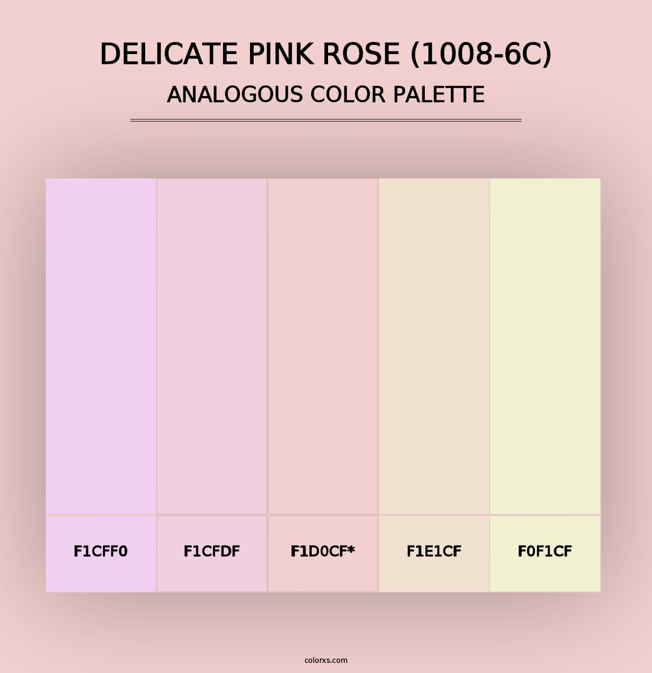 Delicate Pink Rose (1008-6C) - Analogous Color Palette