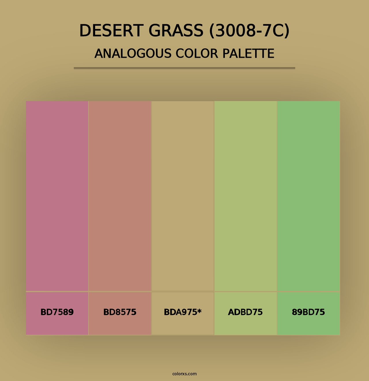 Desert Grass (3008-7C) - Analogous Color Palette