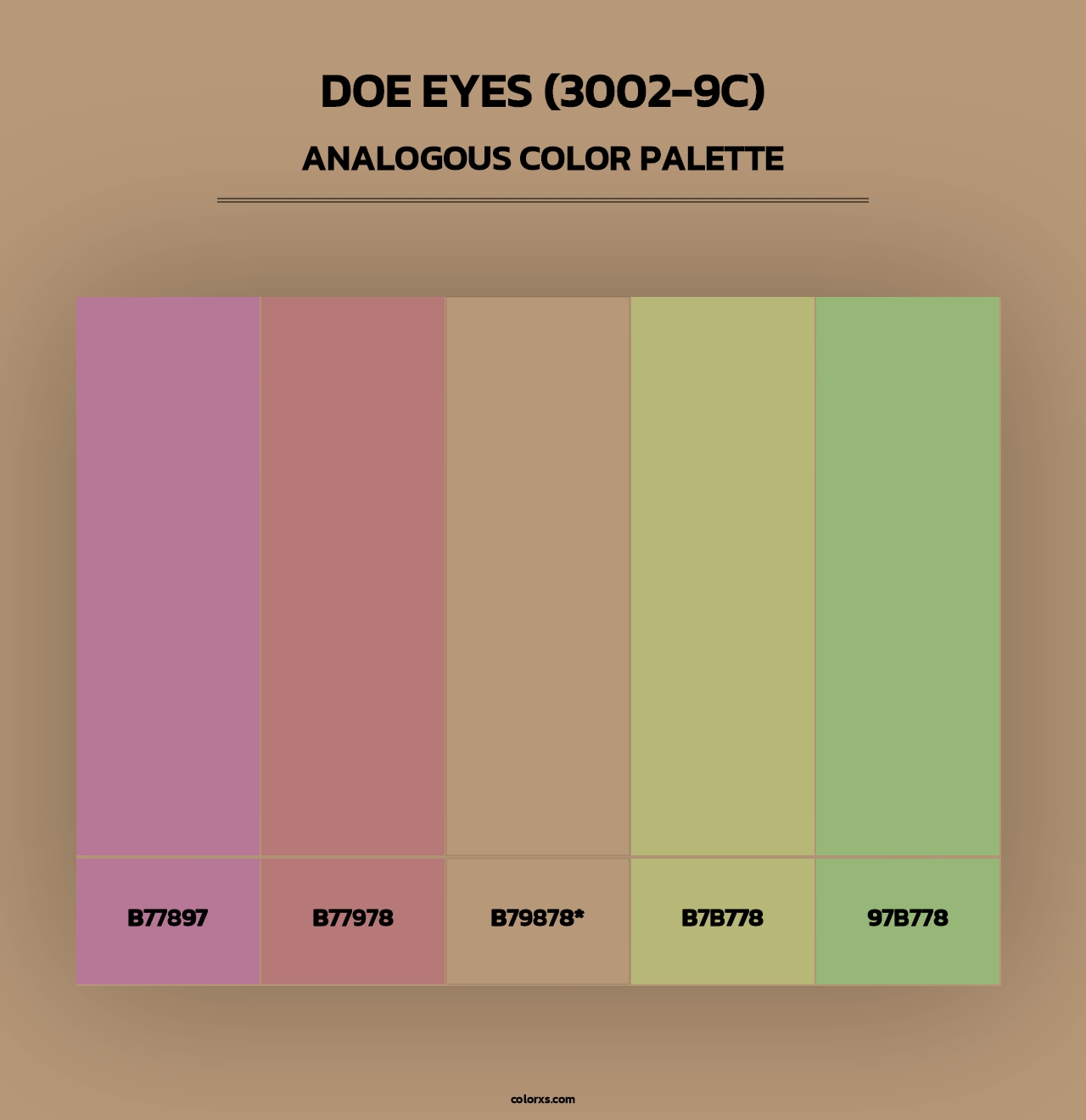 Doe Eyes (3002-9C) - Analogous Color Palette