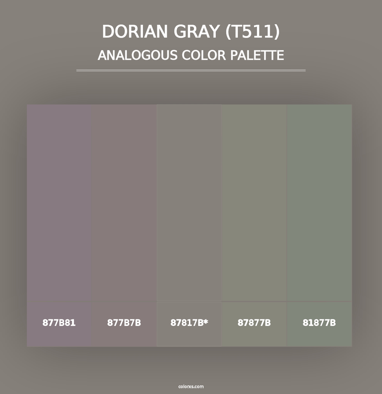 Dorian Gray (T511) - Analogous Color Palette