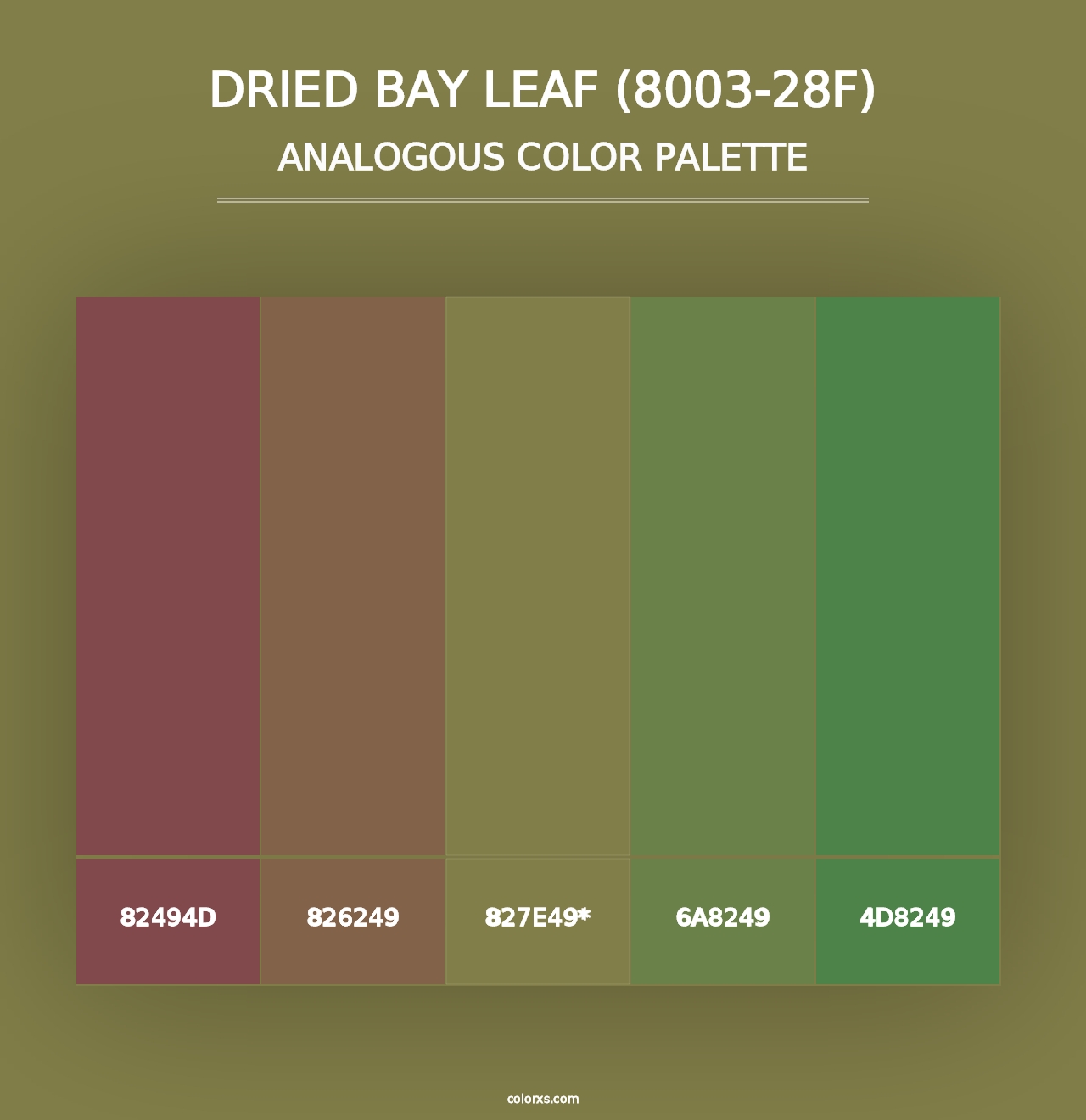 Dried Bay Leaf (8003-28F) - Analogous Color Palette