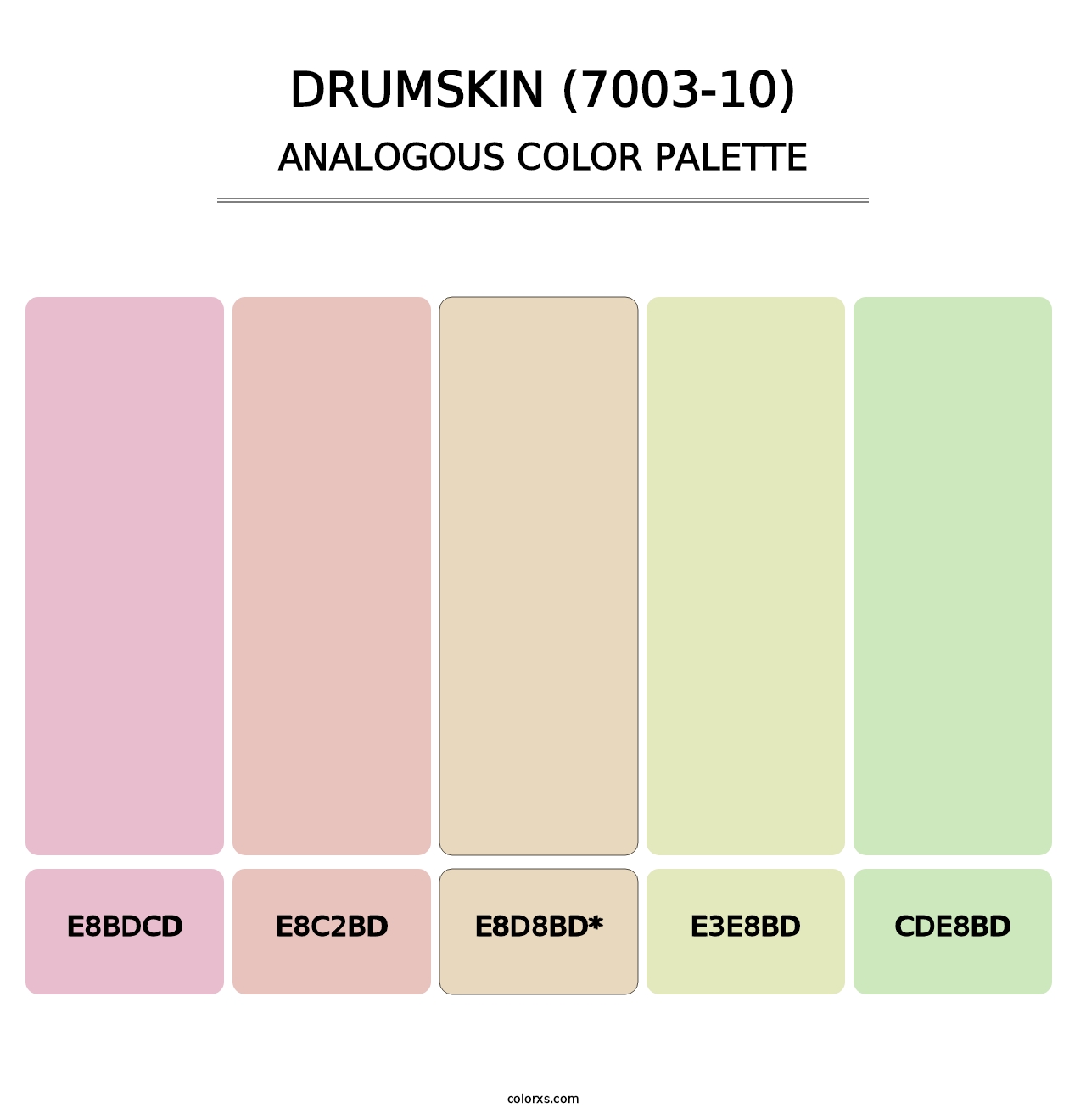 Drumskin (7003-10) - Analogous Color Palette