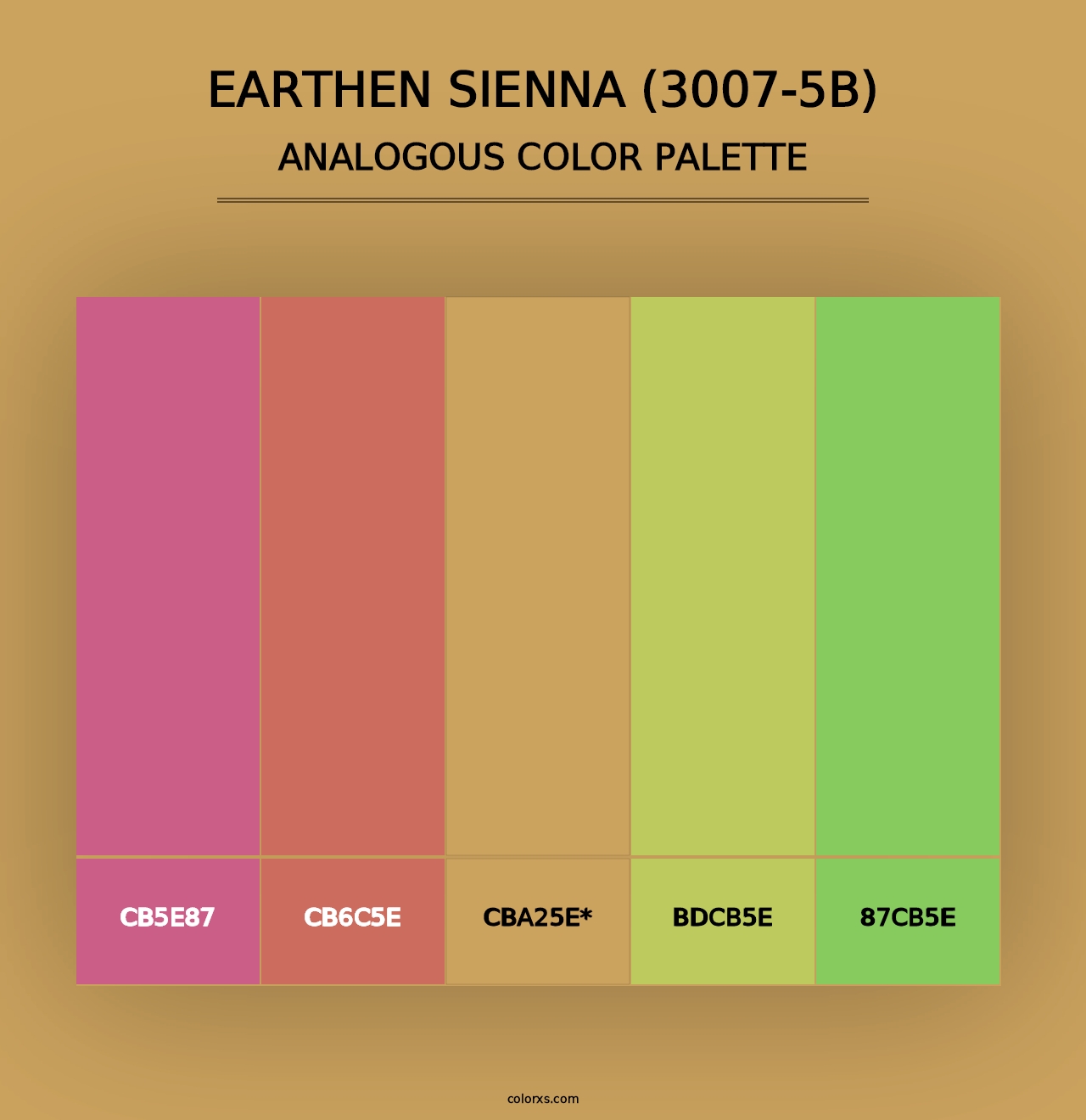 Earthen Sienna (3007-5B) - Analogous Color Palette