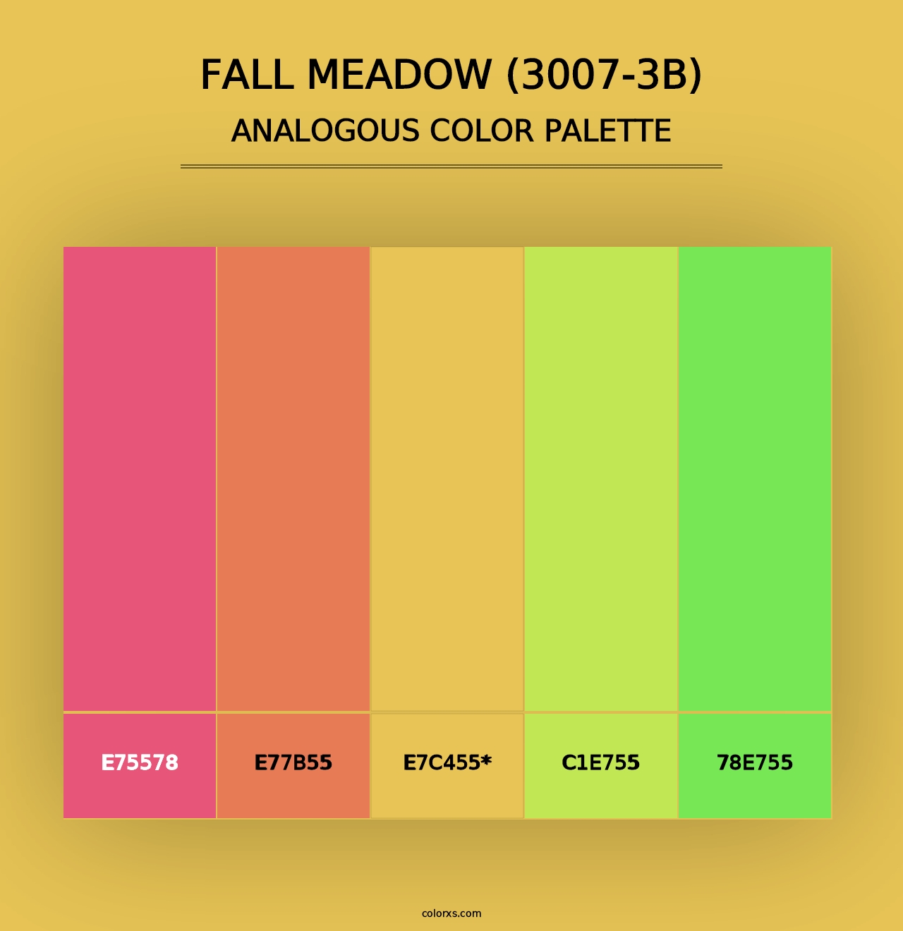 Fall Meadow (3007-3B) - Analogous Color Palette