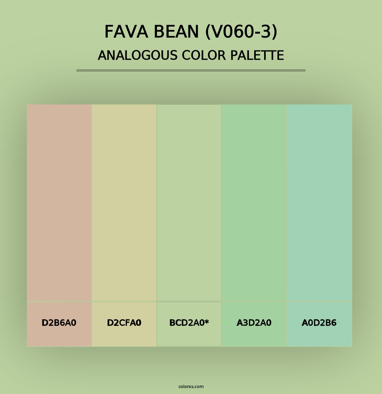 Fava Bean (V060-3) - Analogous Color Palette