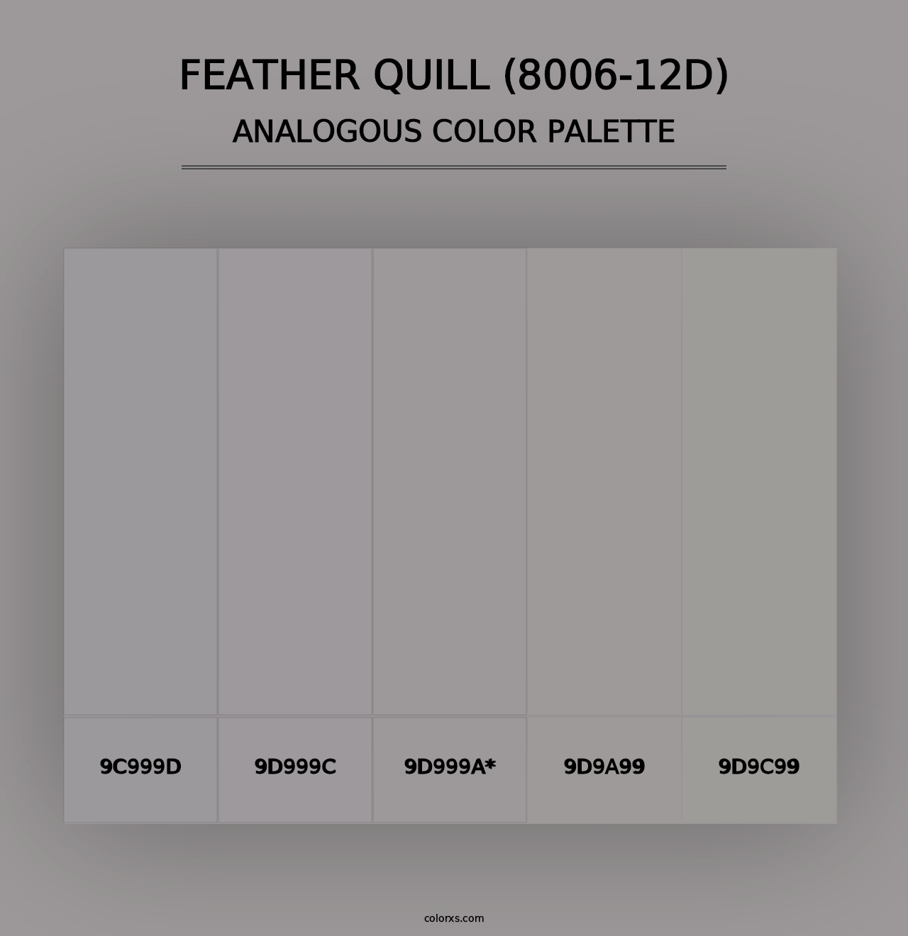 Feather Quill (8006-12D) - Analogous Color Palette