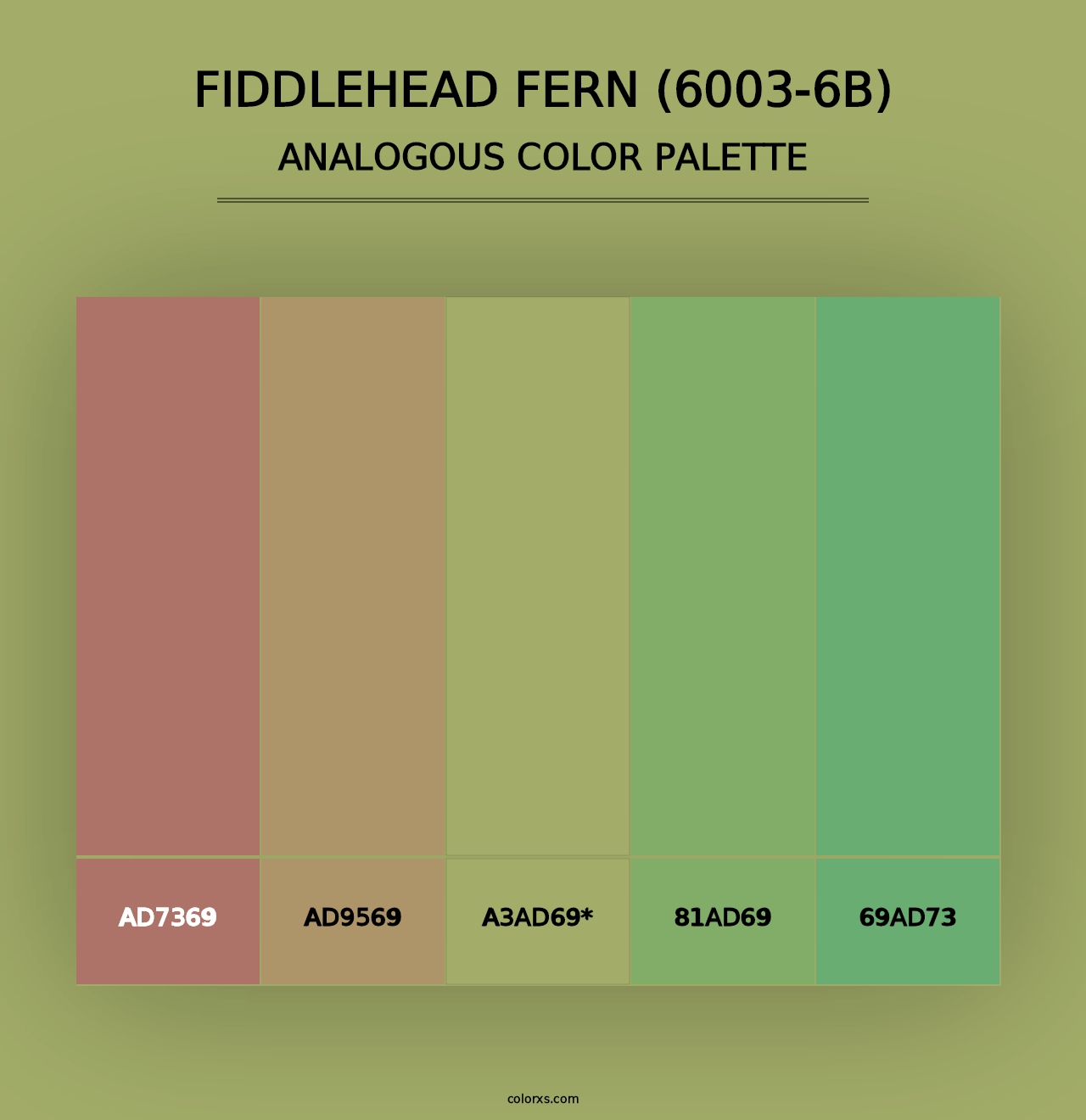 Fiddlehead Fern (6003-6B) - Analogous Color Palette