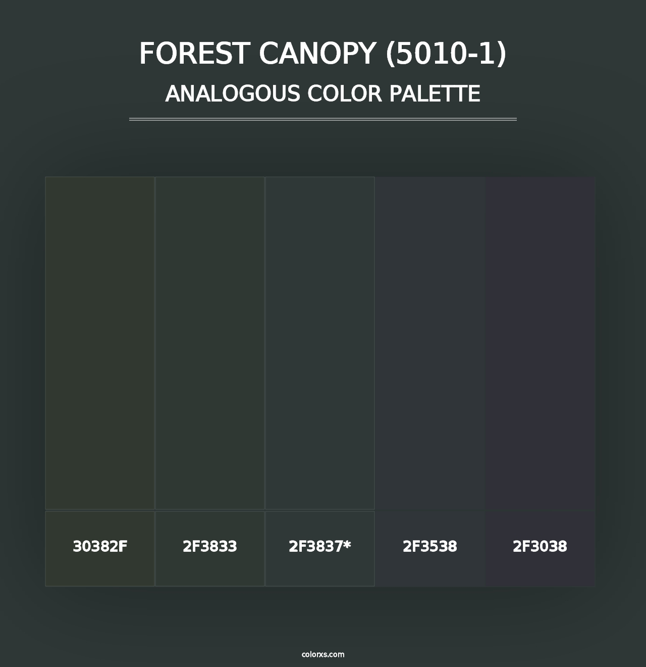 Forest Canopy (5010-1) - Analogous Color Palette