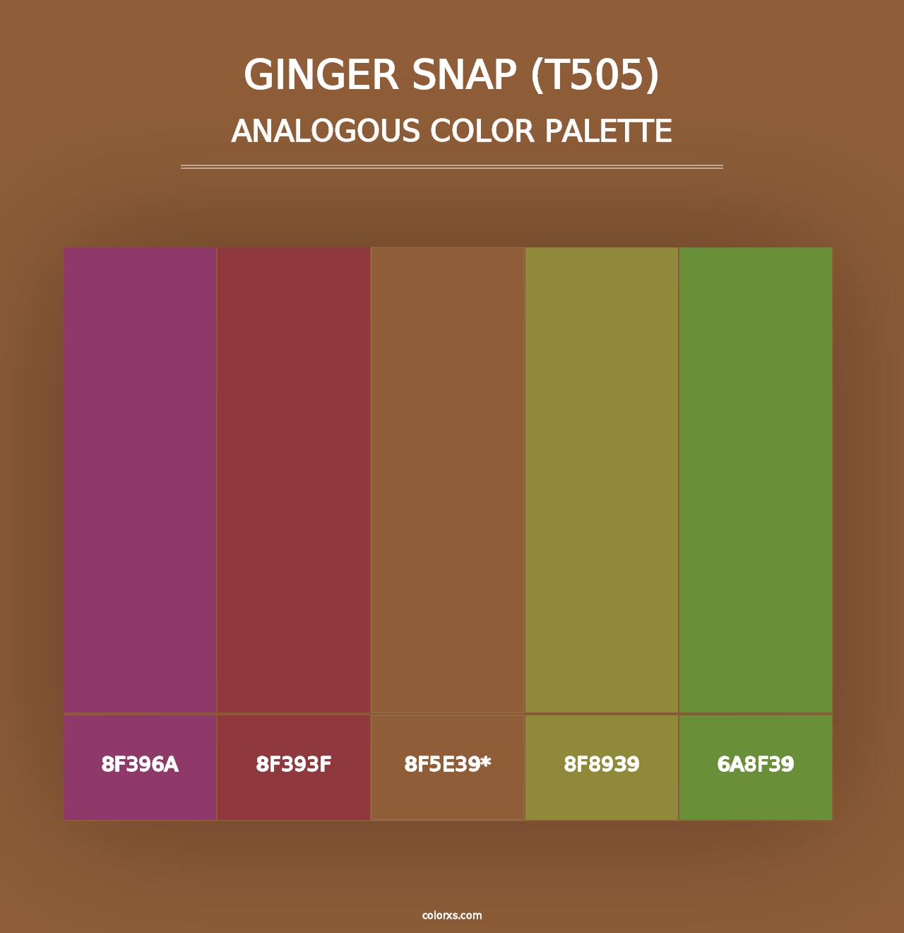 Ginger Snap (T505) - Analogous Color Palette