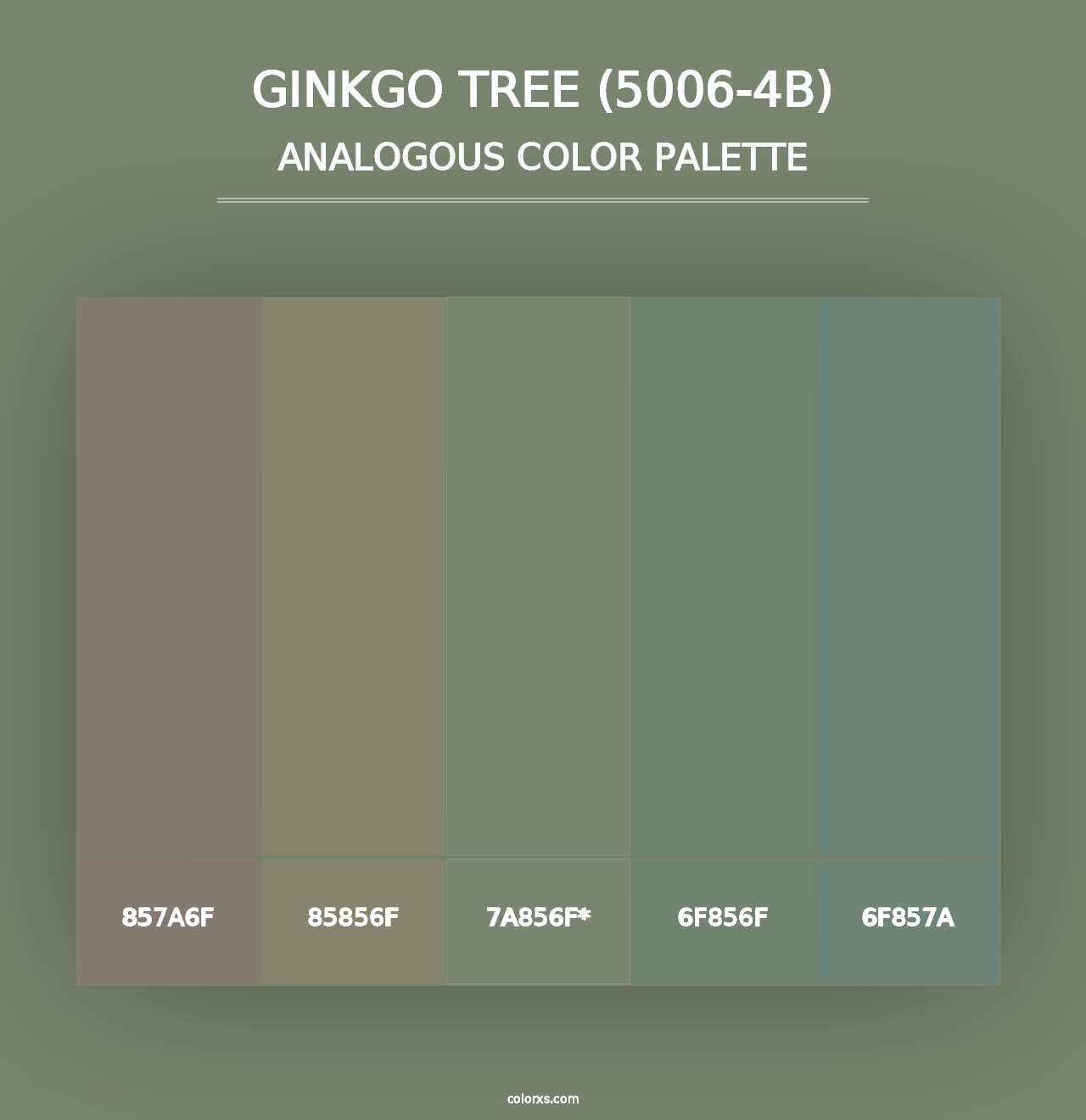 Ginkgo Tree (5006-4B) - Analogous Color Palette