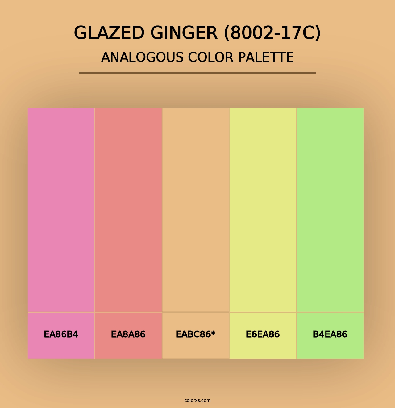 Glazed Ginger (8002-17C) - Analogous Color Palette