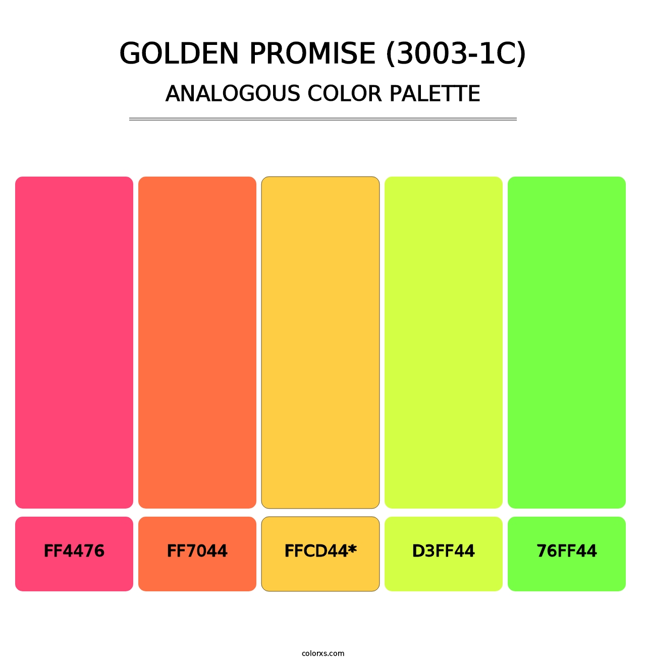 Golden Promise (3003-1C) - Analogous Color Palette