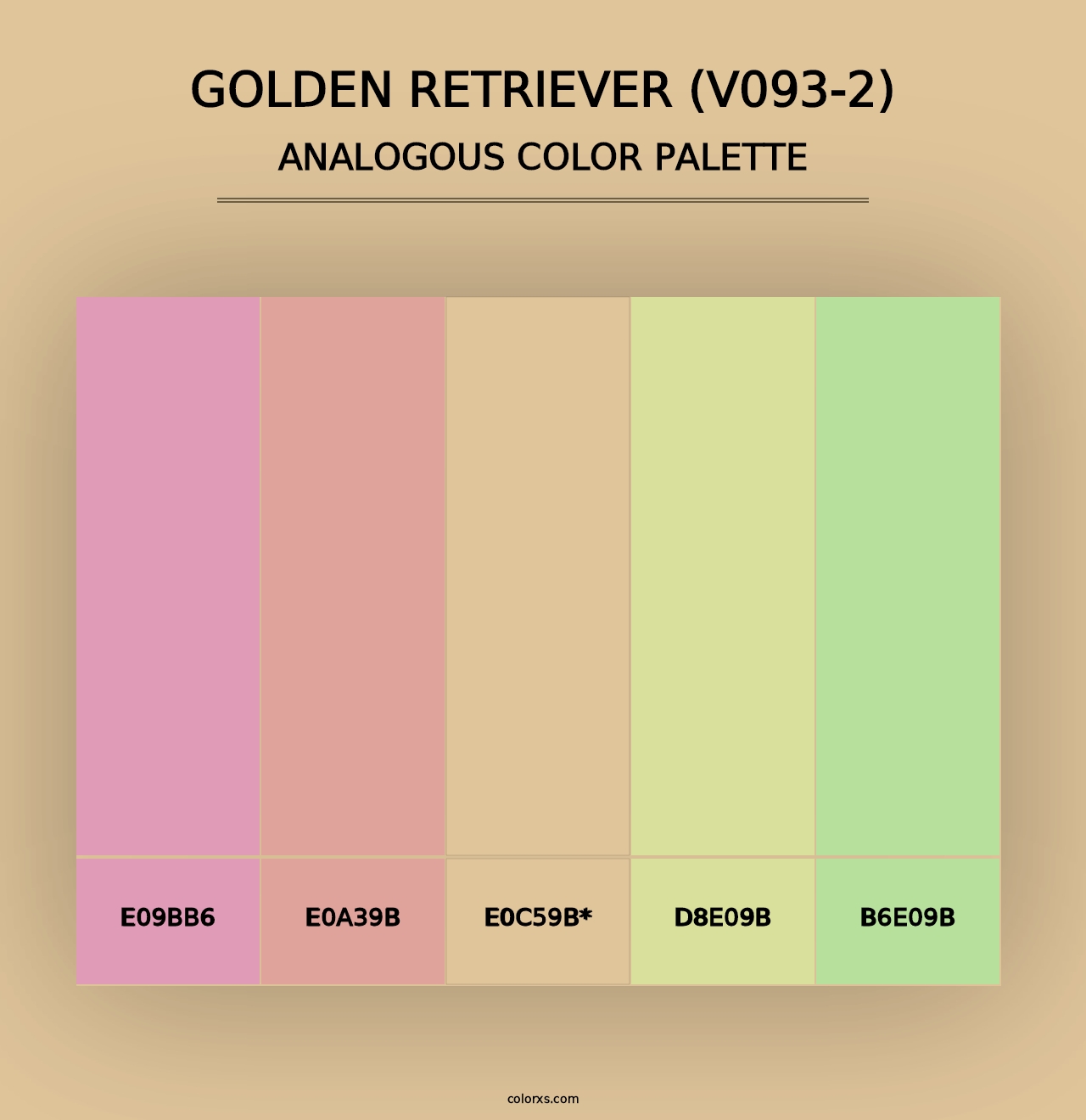 Golden Retriever (V093-2) - Analogous Color Palette