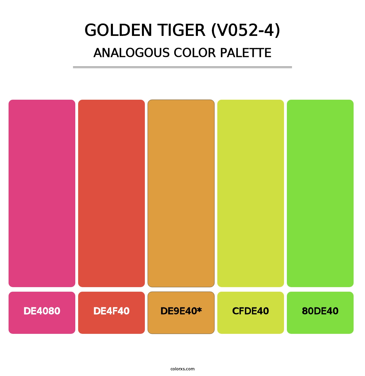 Golden Tiger (V052-4) - Analogous Color Palette