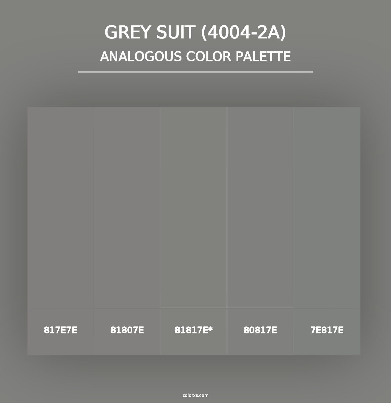 Grey Suit (4004-2A) - Analogous Color Palette