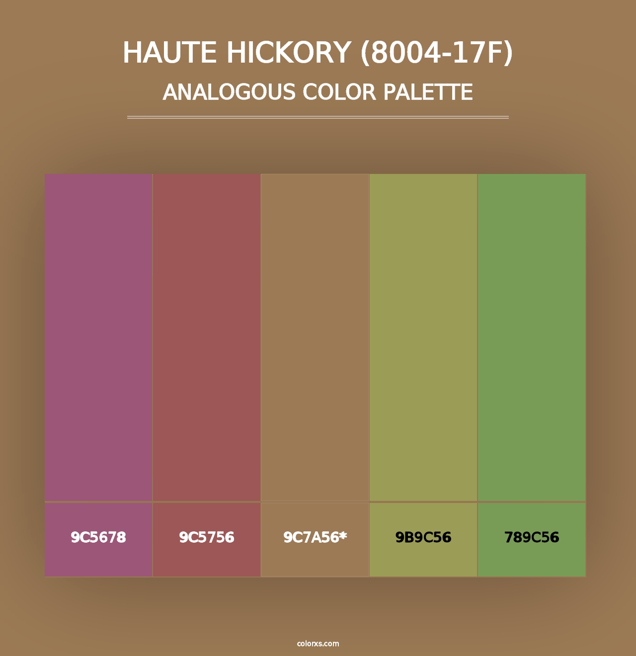 Haute Hickory (8004-17F) - Analogous Color Palette