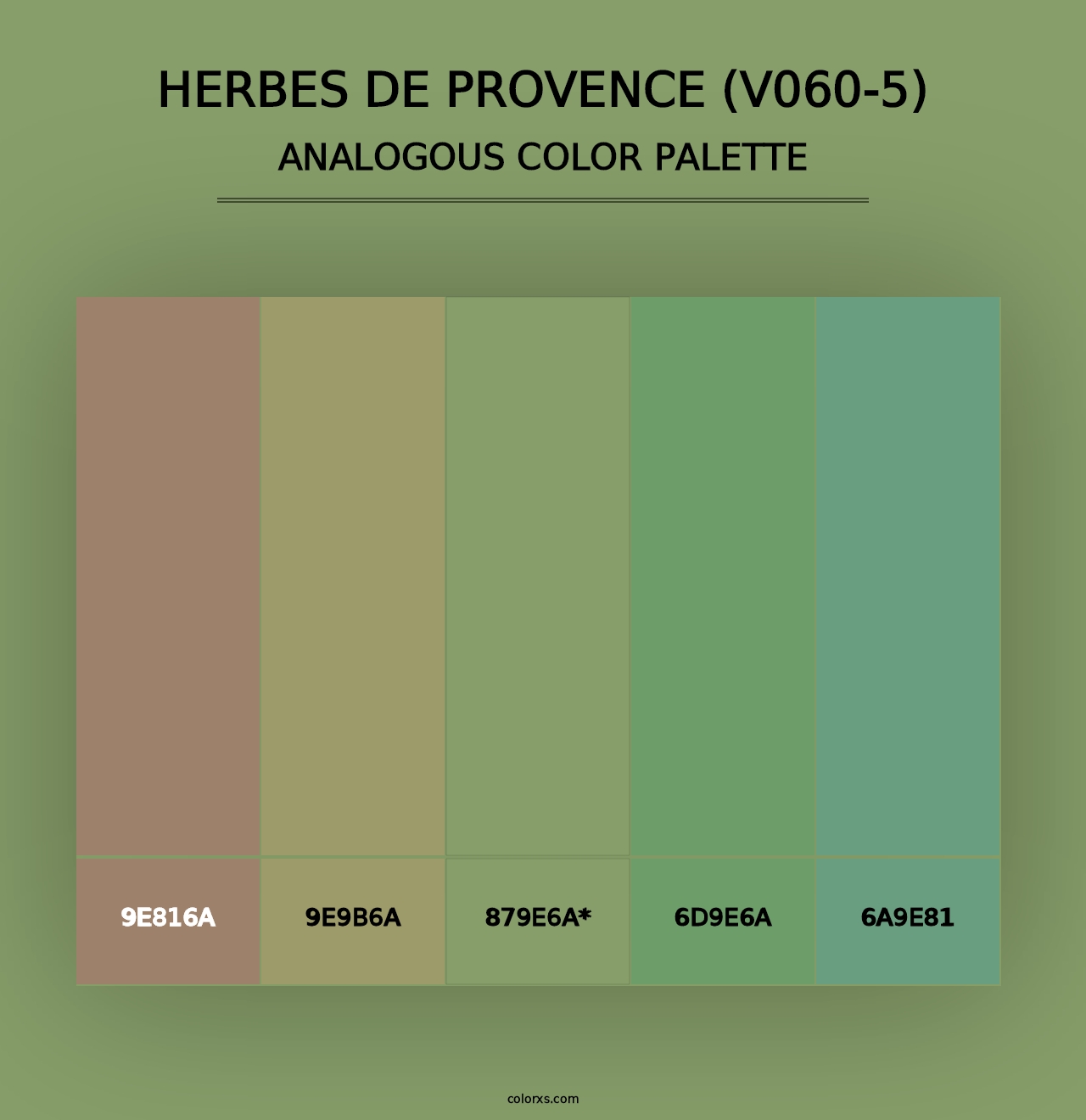 Herbes de Provence (V060-5) - Analogous Color Palette