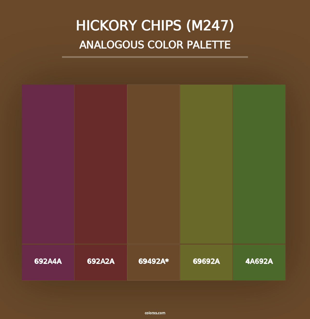 Hickory Chips (M247) - Analogous Color Palette