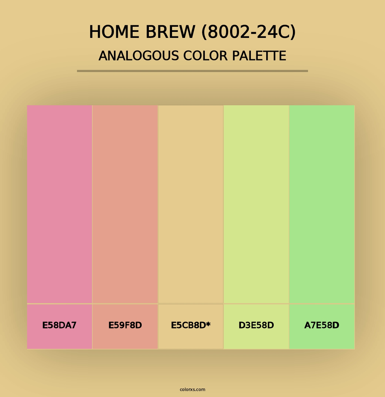 Home Brew (8002-24C) - Analogous Color Palette