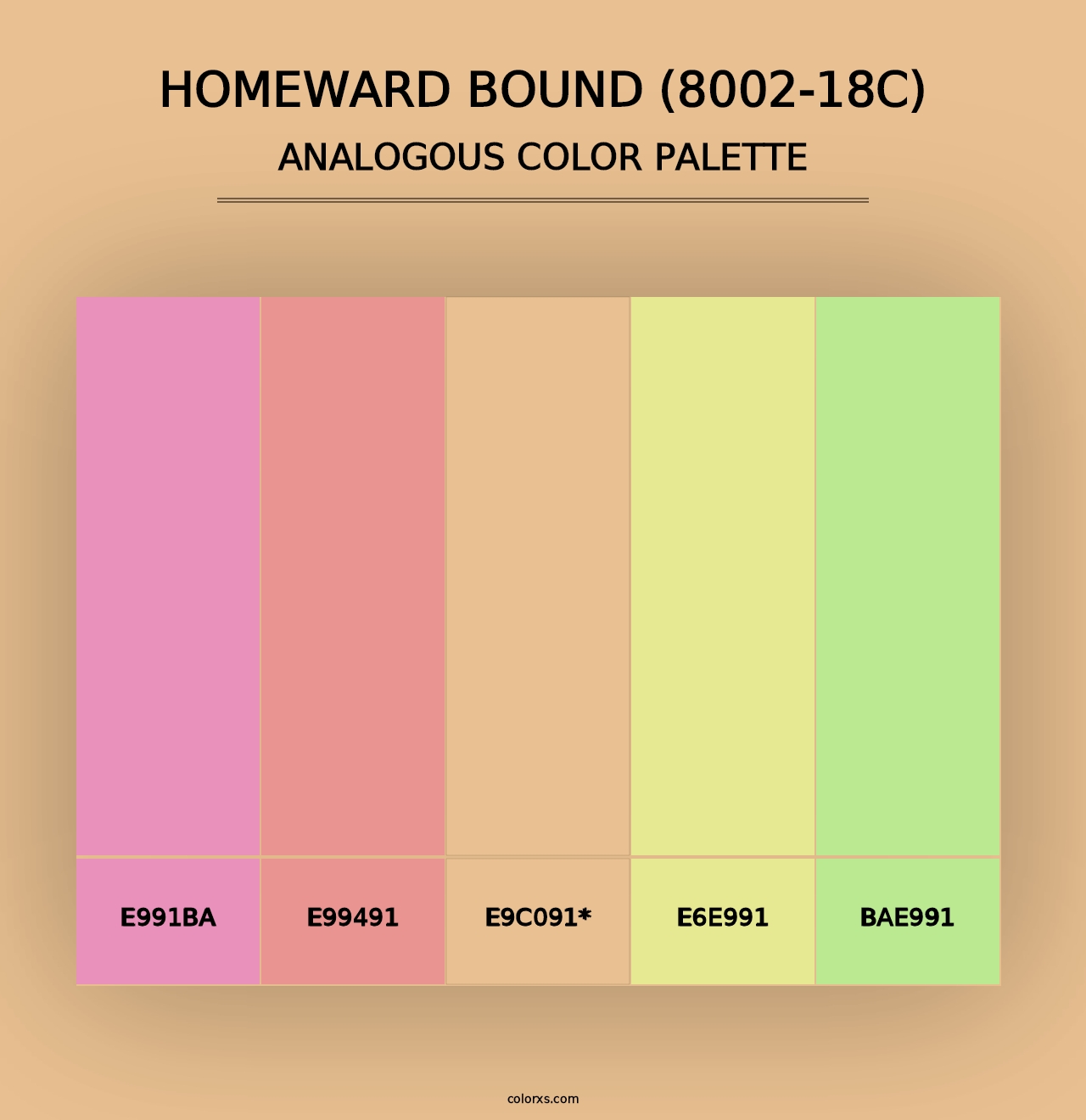 Homeward Bound (8002-18C) - Analogous Color Palette