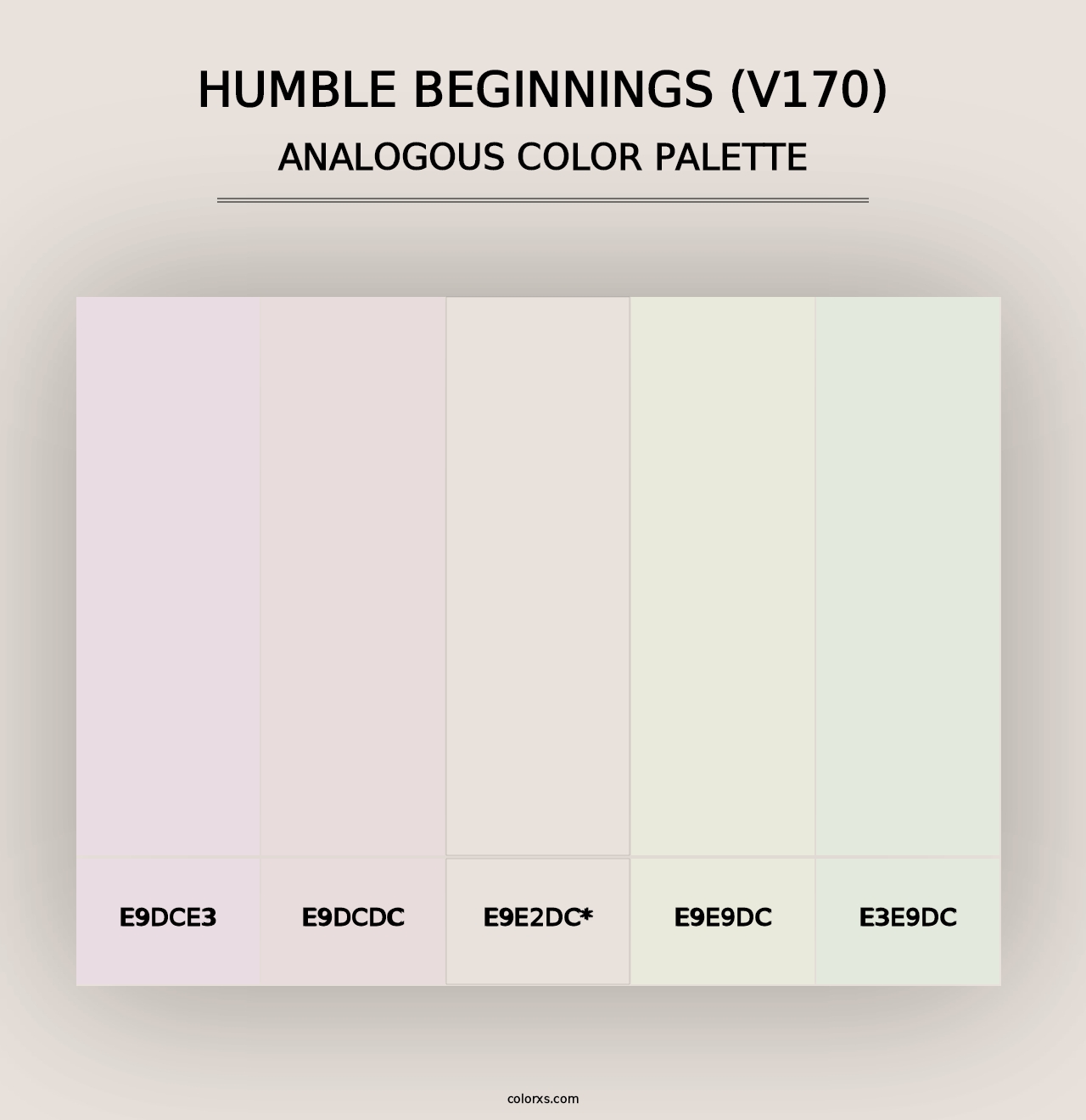 Humble Beginnings (V170) - Analogous Color Palette