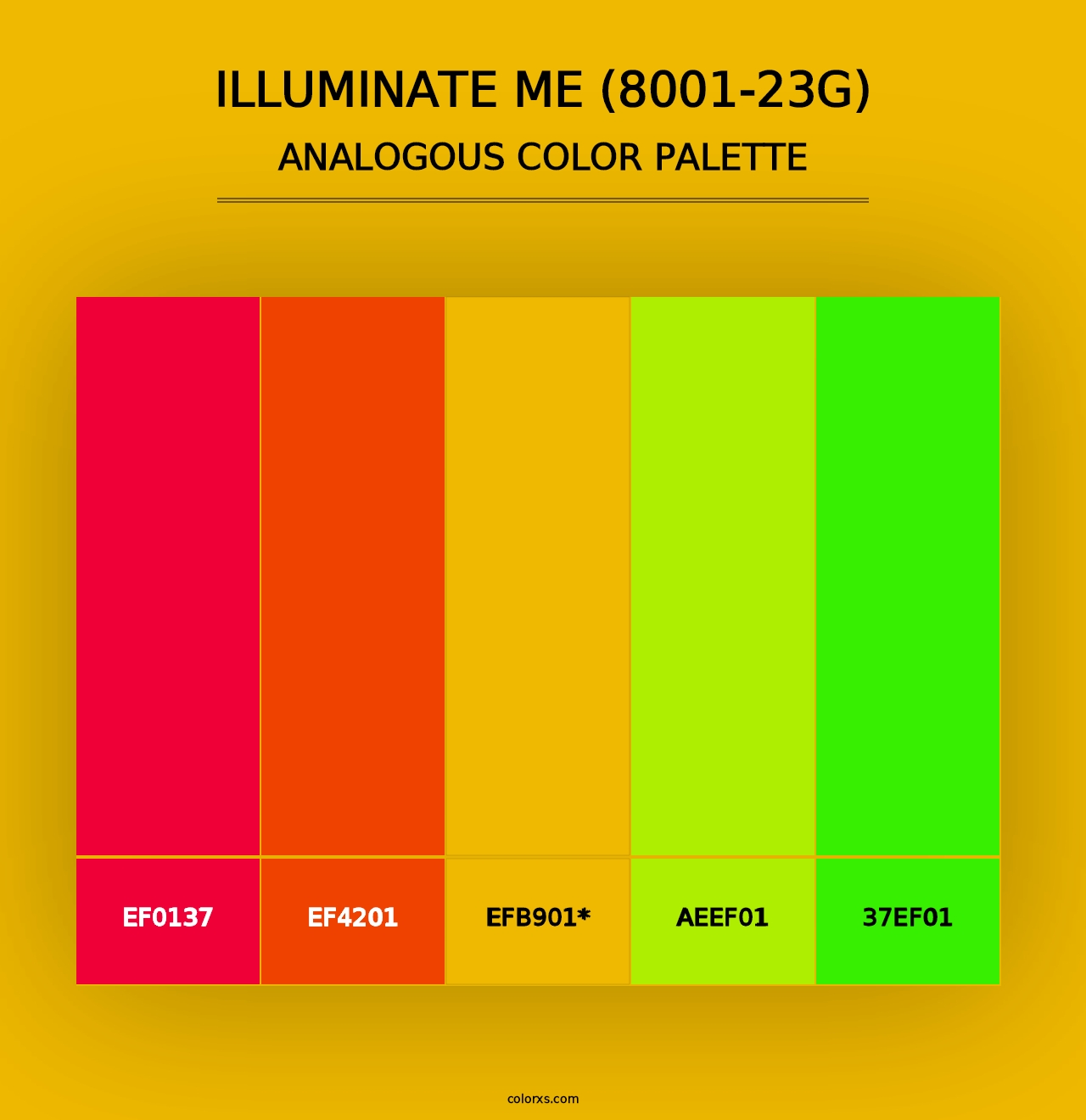 Illuminate Me (8001-23G) - Analogous Color Palette