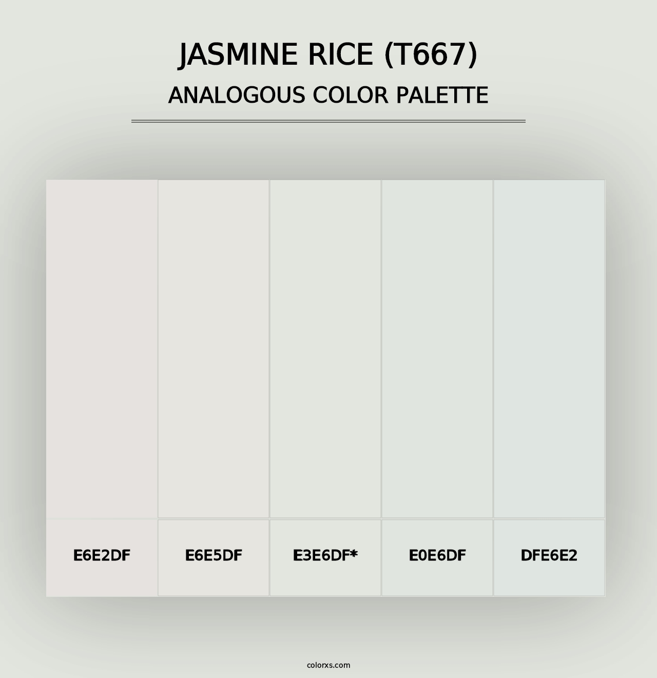 Jasmine Rice (T667) - Analogous Color Palette