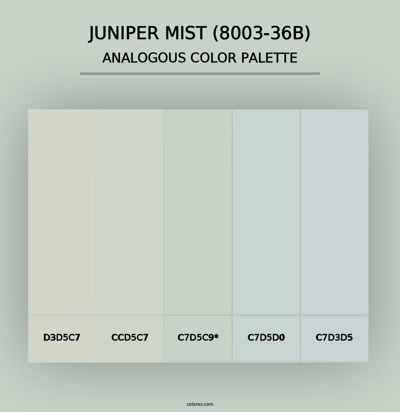 Juniper Mist (8003-36B) - Analogous Color Palette