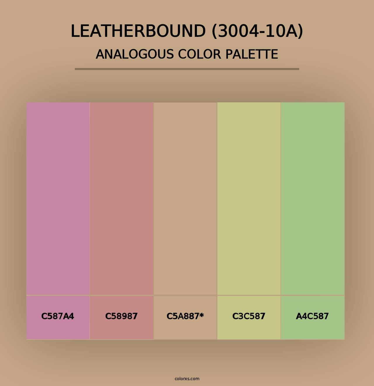 Leatherbound (3004-10A) - Analogous Color Palette